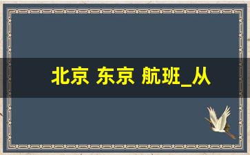 北京 东京 航班_从北京飞日本多少钱